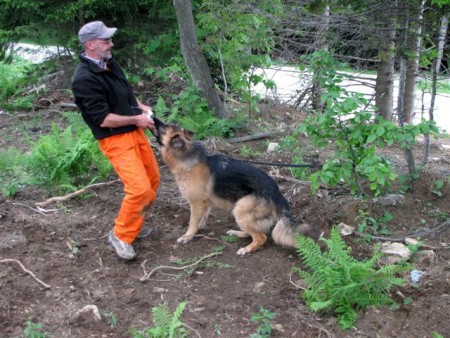 Tečaj vodnikov reševalnih psov GRZS